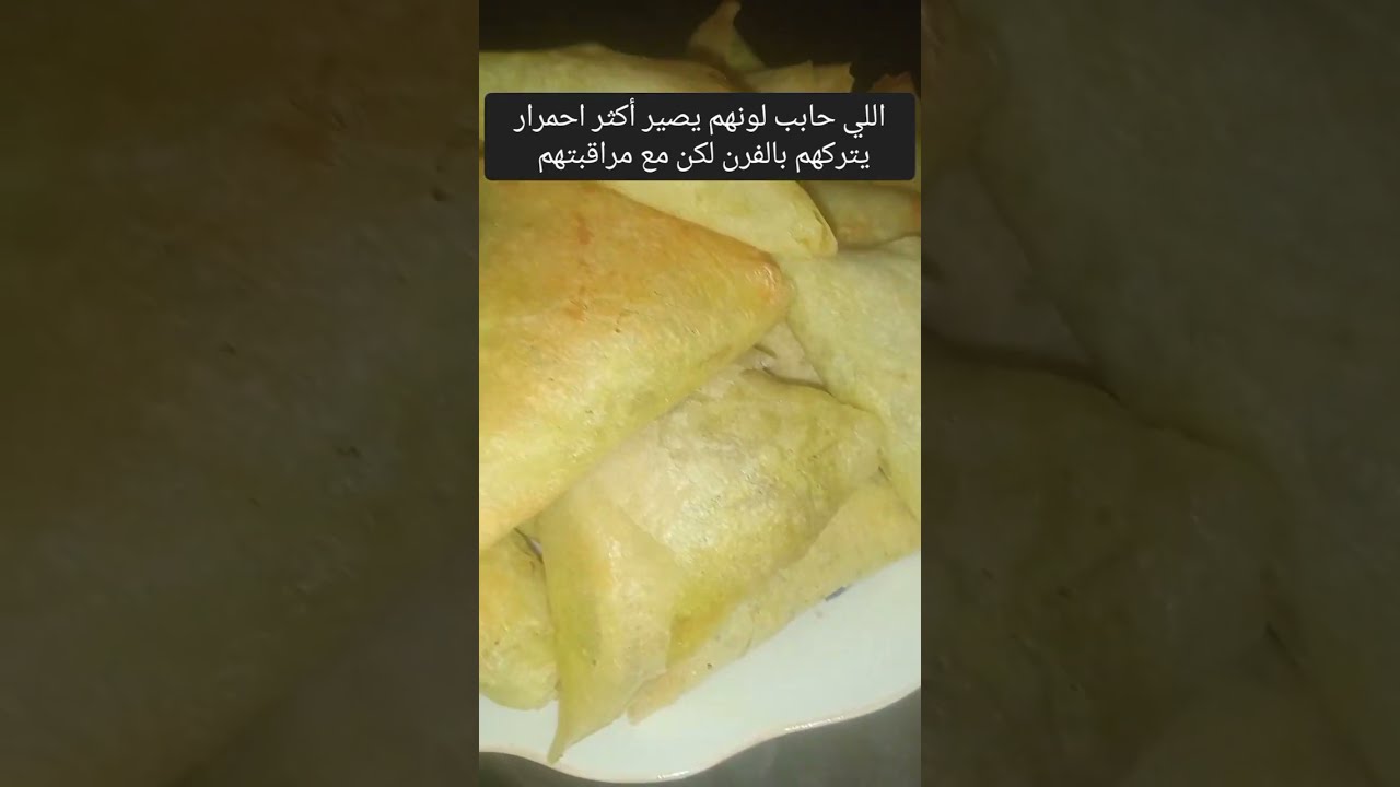 #ميني فلوگ #بريوات بقطع الدجاج والجبن والشعرية Vermicil # من غيرذهون ولاكثرت زيوت#بيشهو