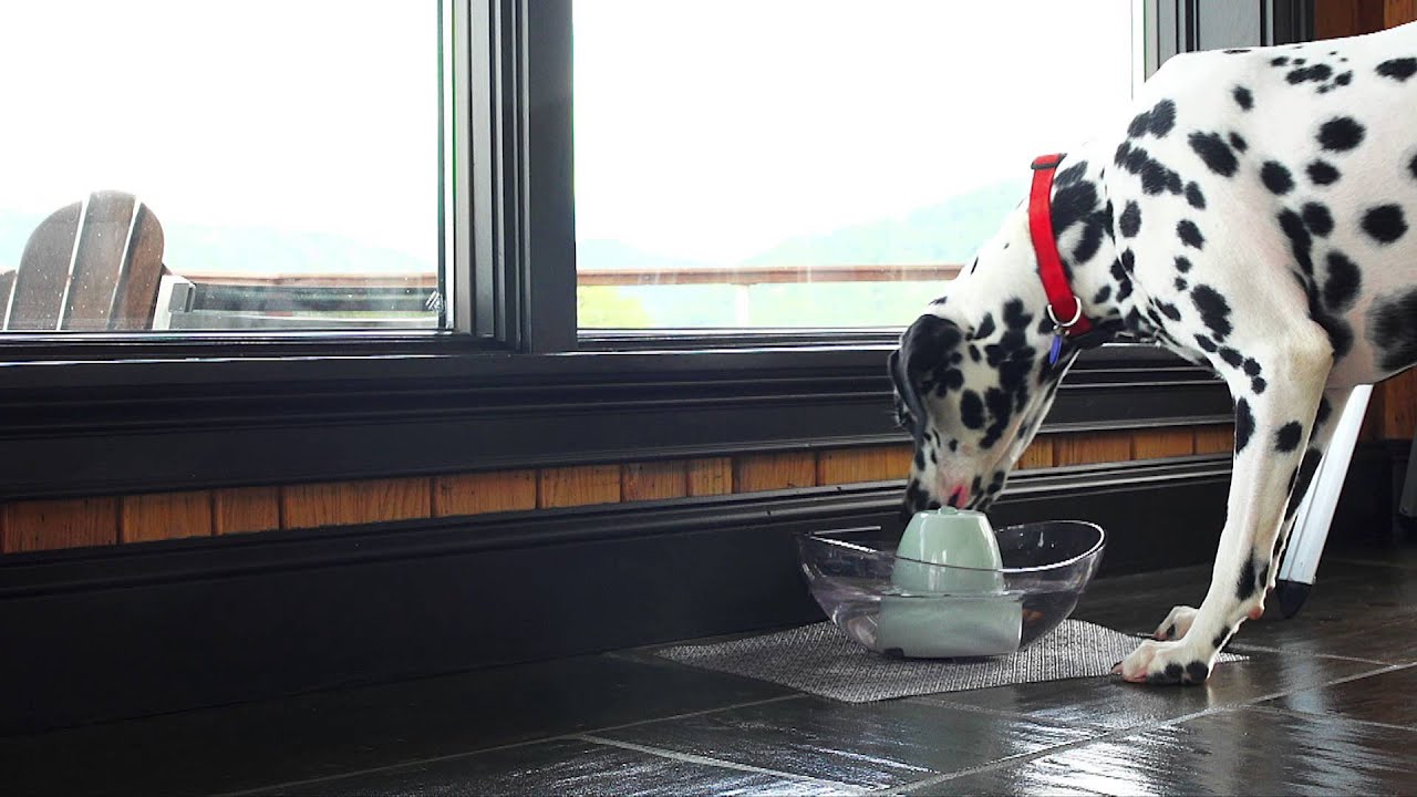 PetSafe Sedona Fountain