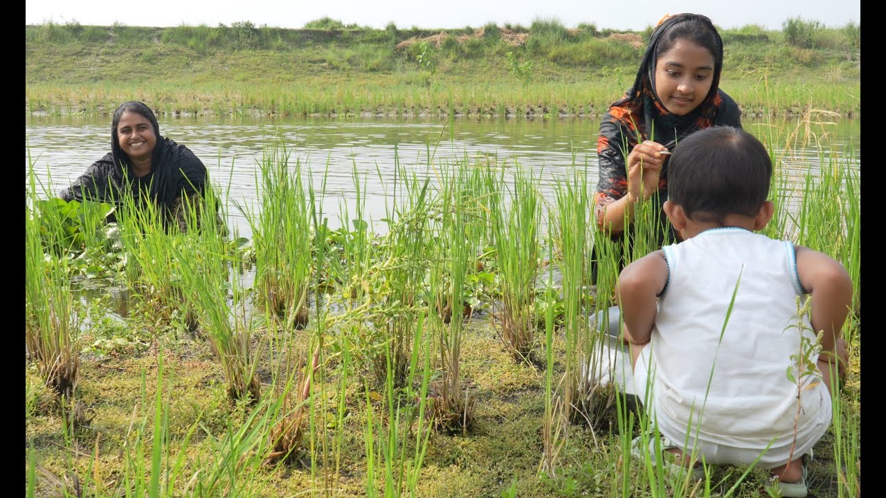 নদীর নতুন পানিতে গোসল আর ছোট মাছ ধরার আনন্দ | Village life with Shampa