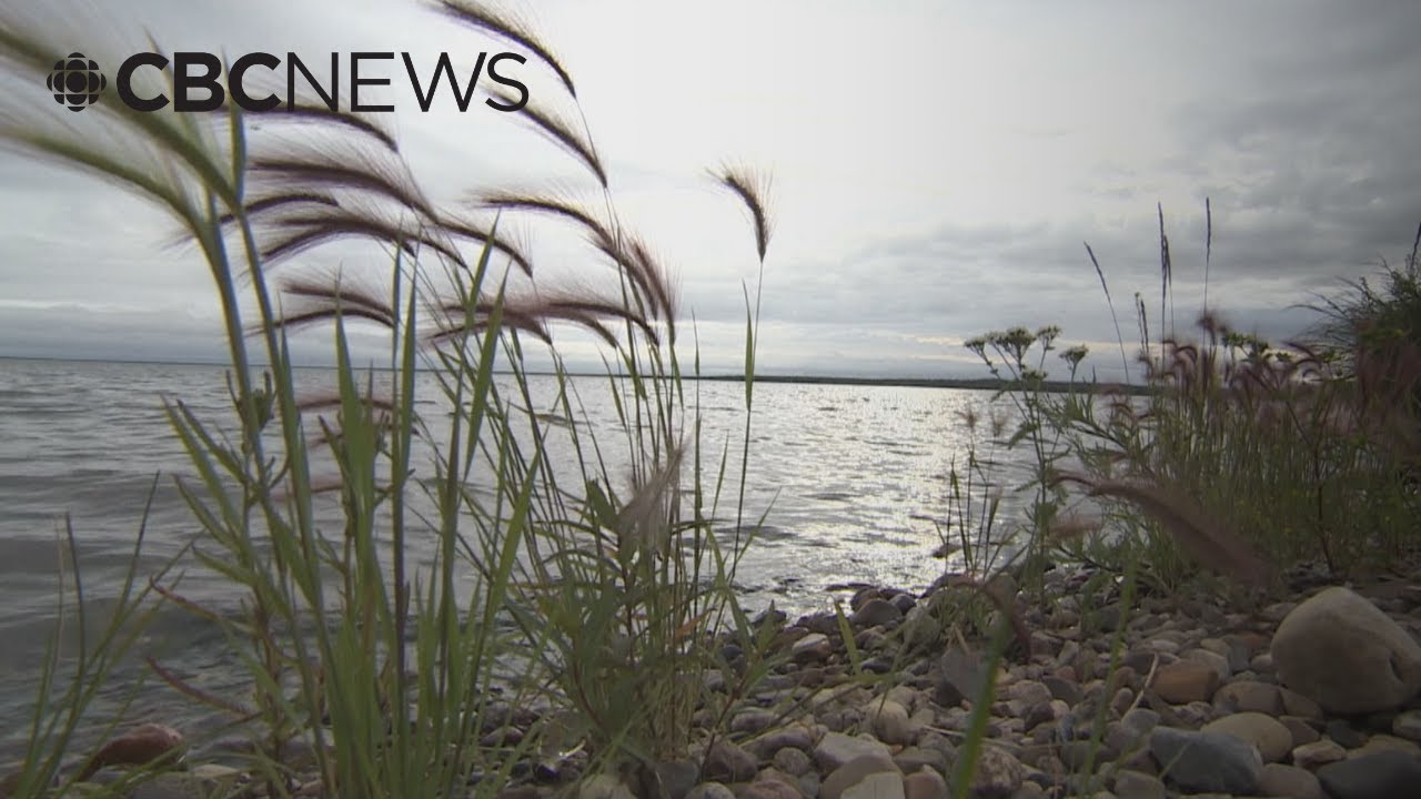 Indigenous-led conservation efforts in Canada are working: study