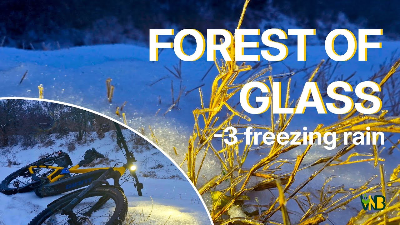 What Happens When You Ride an E-Bike During a Freezing Rain Storm?