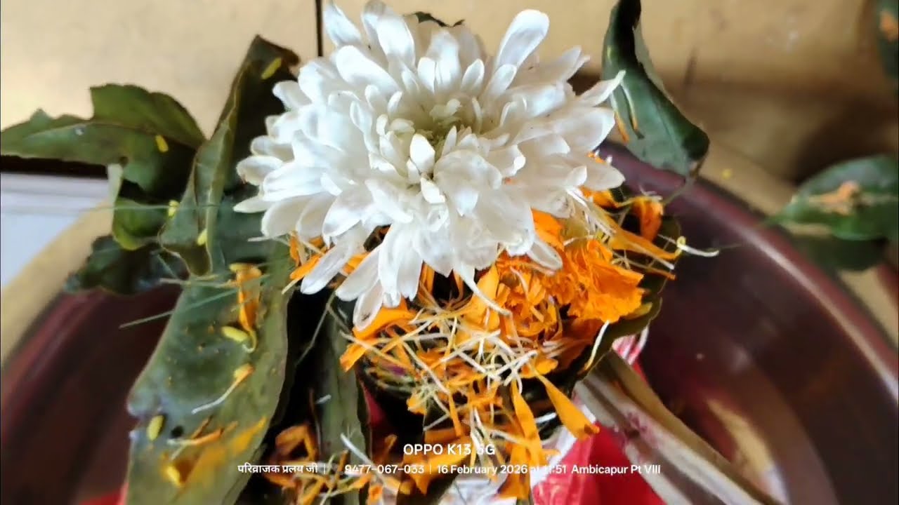 Religious india SHIV swarnamala stuti ।।। শিব স্তুতি ।।। शिव स्तुति ।।।