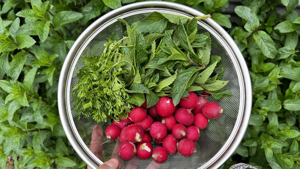 Table mujj te pudne chetin|Kashmiri style vegetable chutney|How to make chutney.