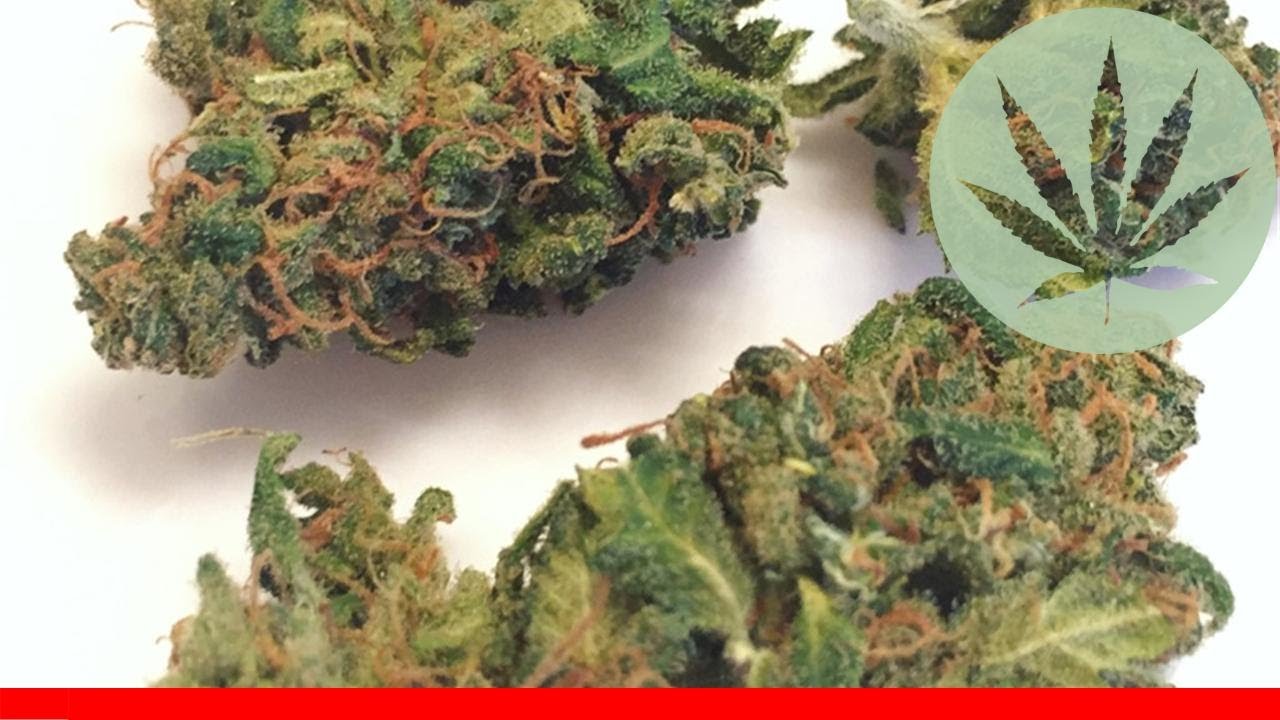 Harle-Tsu - All About This Strain