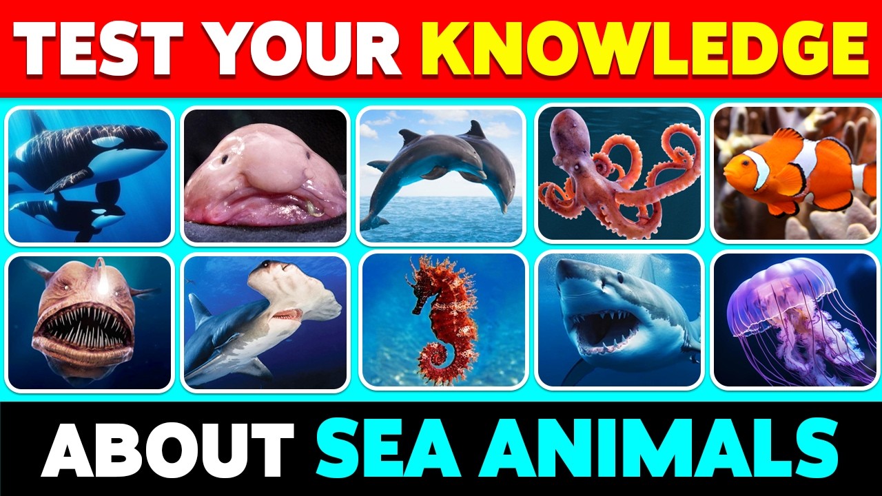 🧠 How Good Is Your Knowledge of SEA ANIMALS? 🐳🦐✅ General Knowledge Trivia Quiz