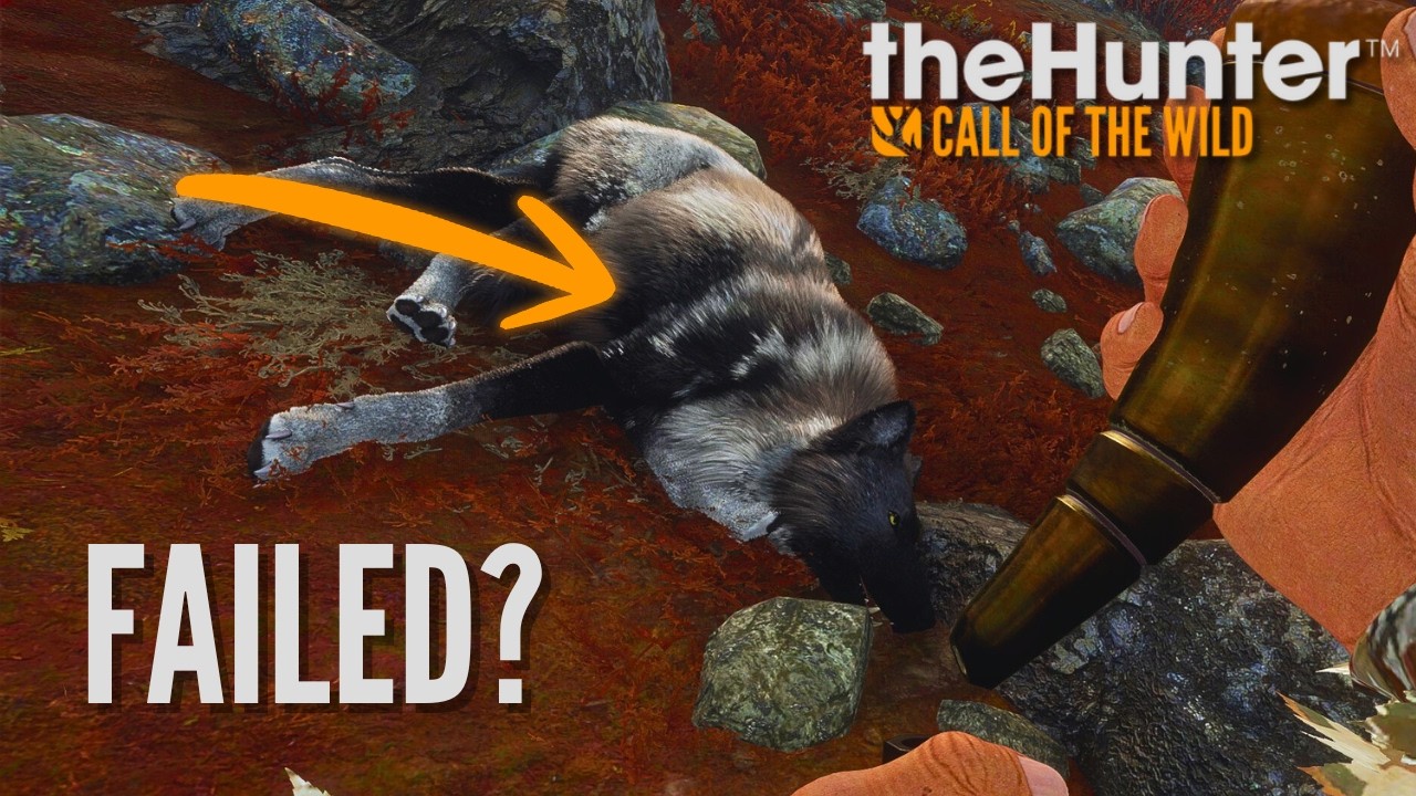 Two Hours Led To This Single Shot! | theHunter Call of the Wild