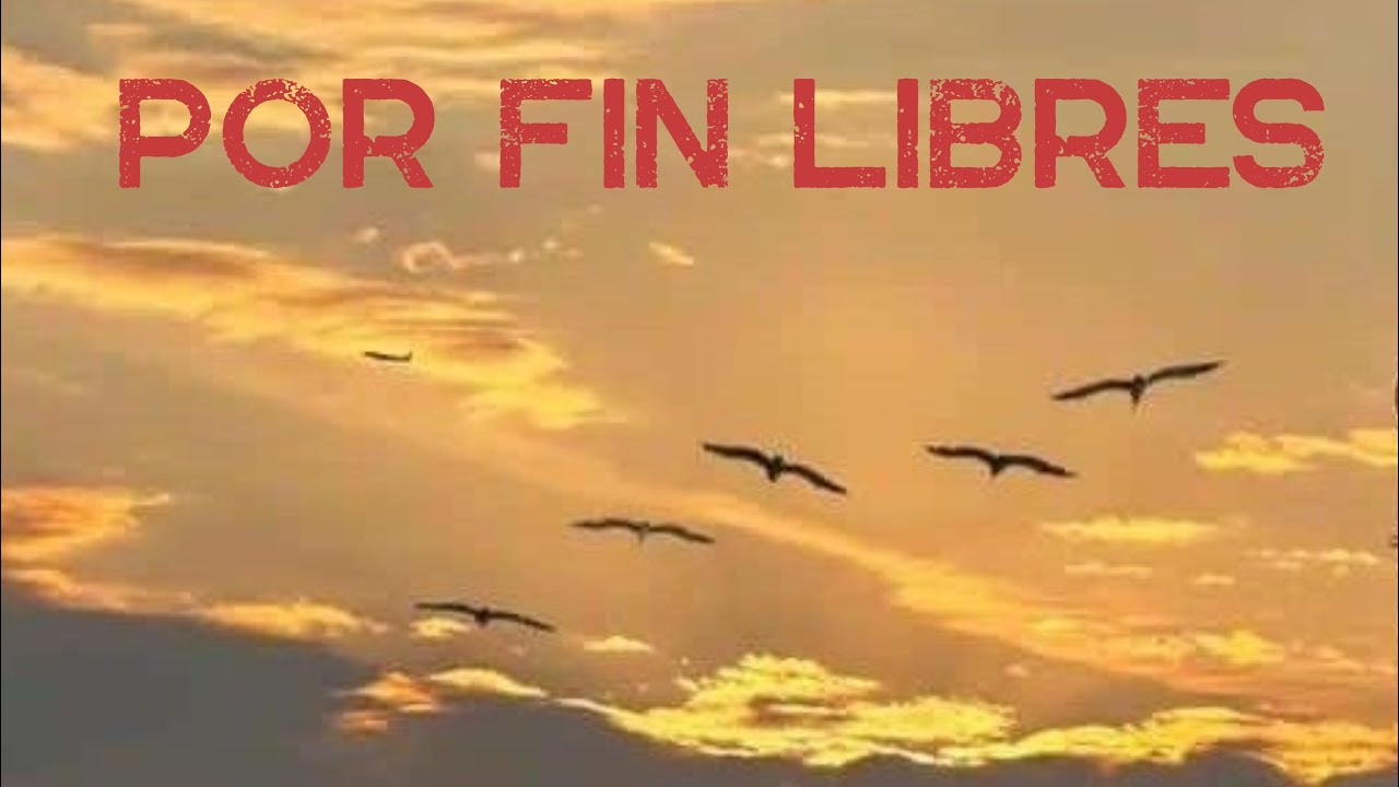 Por fin libres