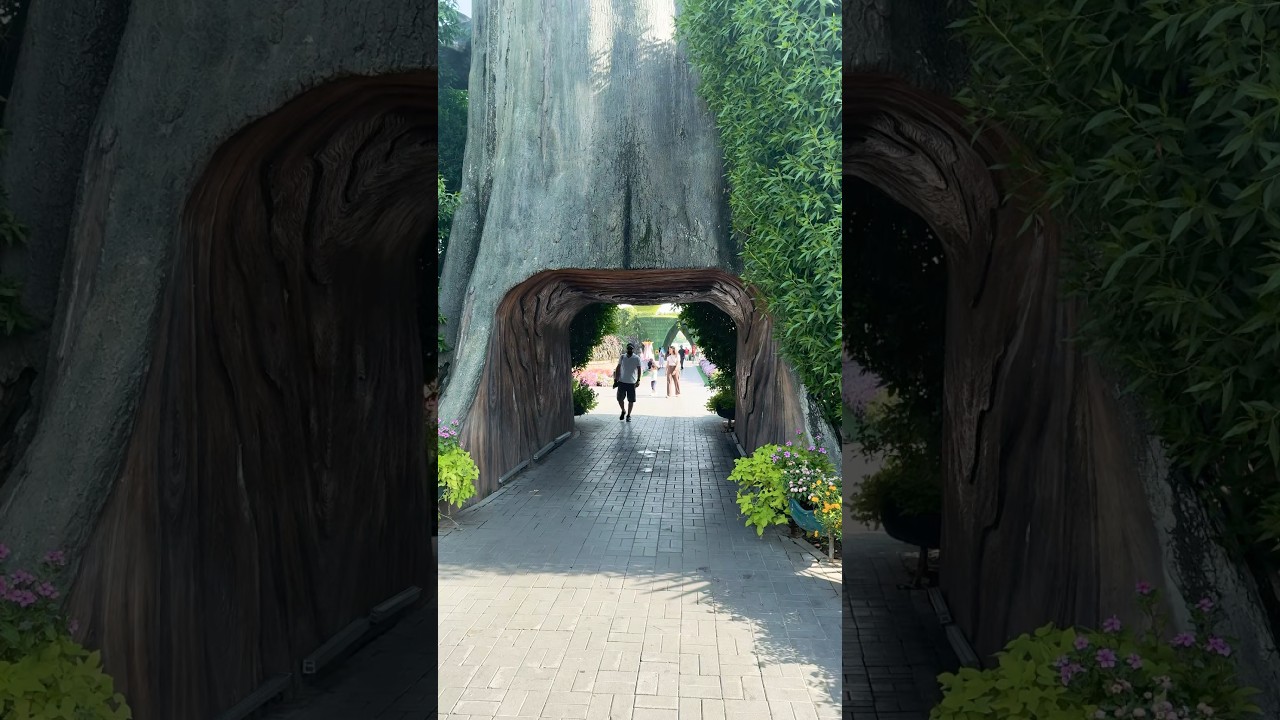 Dubai Miracle Garden || Dubai || UAE