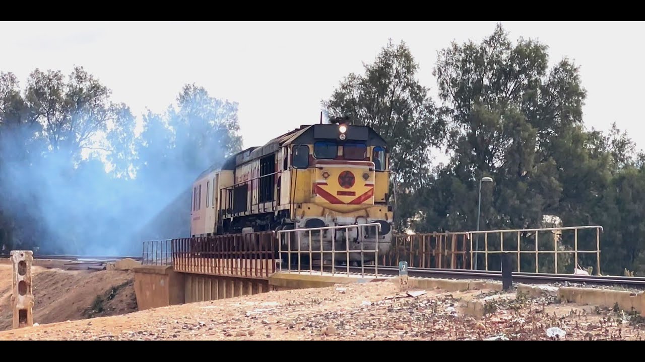 Les Trains d'Oujda - Janvier 2024