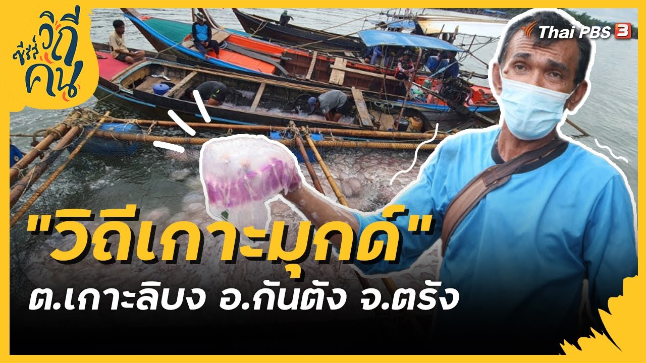 วิถีเกาะมุกด์ ต.เกาะลิบง อ.กันตัง จ.ตรัง | ซีรีส์วิถีคน [CC]