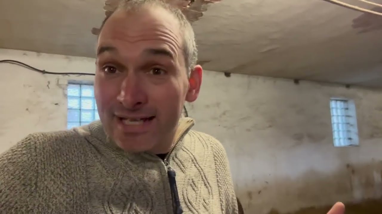 Ich werde mich niemals an diesen Irrsinn gewöhnen | Christian Lohmeyer