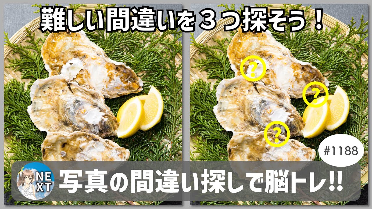 『間違い探し』写真で脳トレ！ #1188 「恵比寿牡蠣」「草津温泉の公園」「桜の太い幹」【高難易度】｜Find the difference game in photos