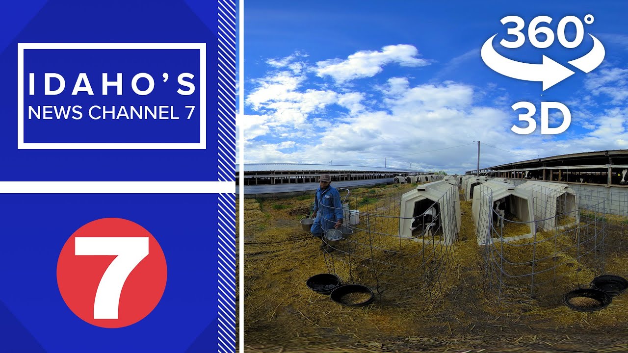 360 VR video: Meet the young Idaho dairy farmers Chobani hopes will revitalize the dairy industry