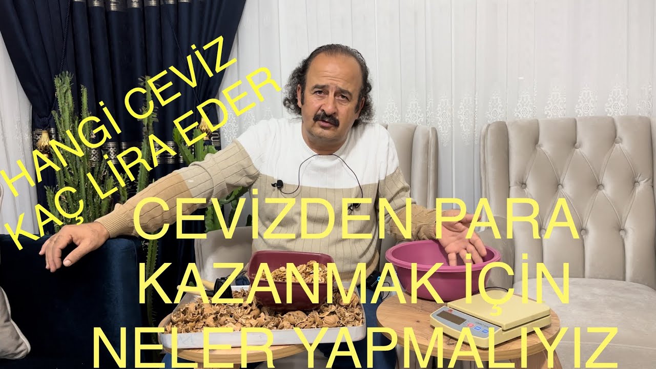 CEVİZDEN PARA KAZANMAK İÇİN NELER YAPMALI? Hangi ceviz kaç para eder. Ceviz Adam Ahmet
