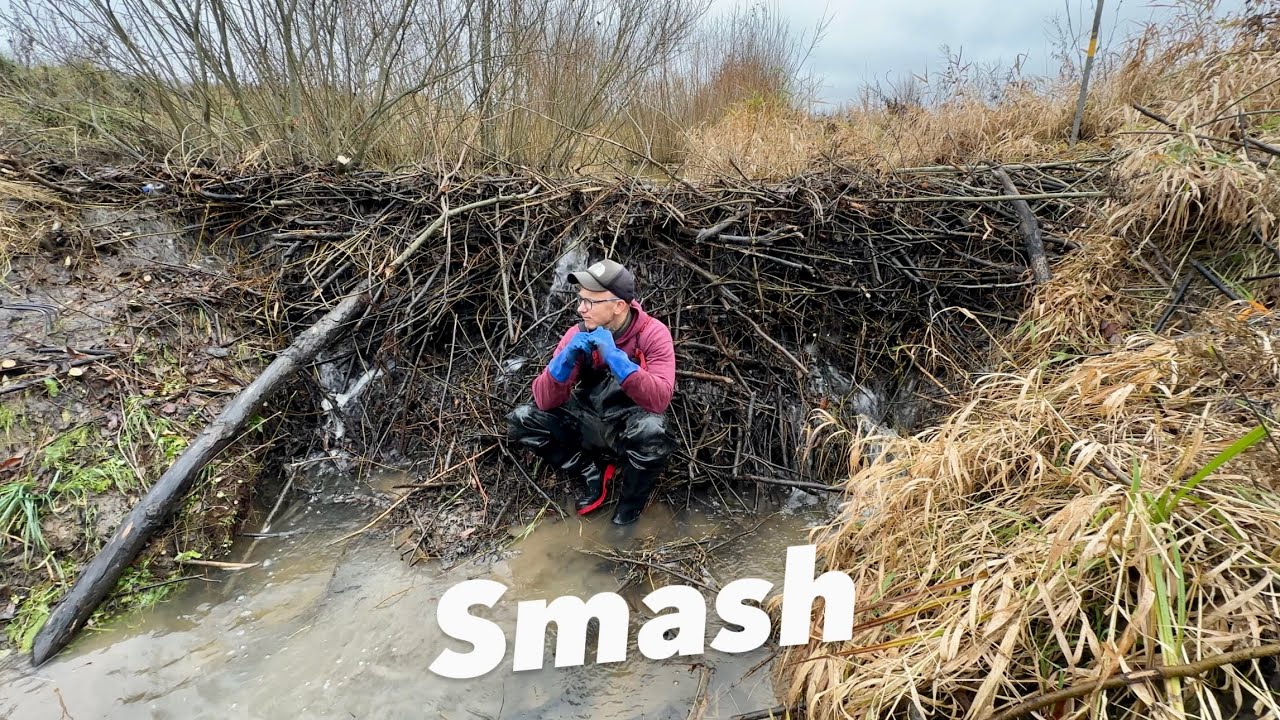 Smashing a Giant Beaver Dam