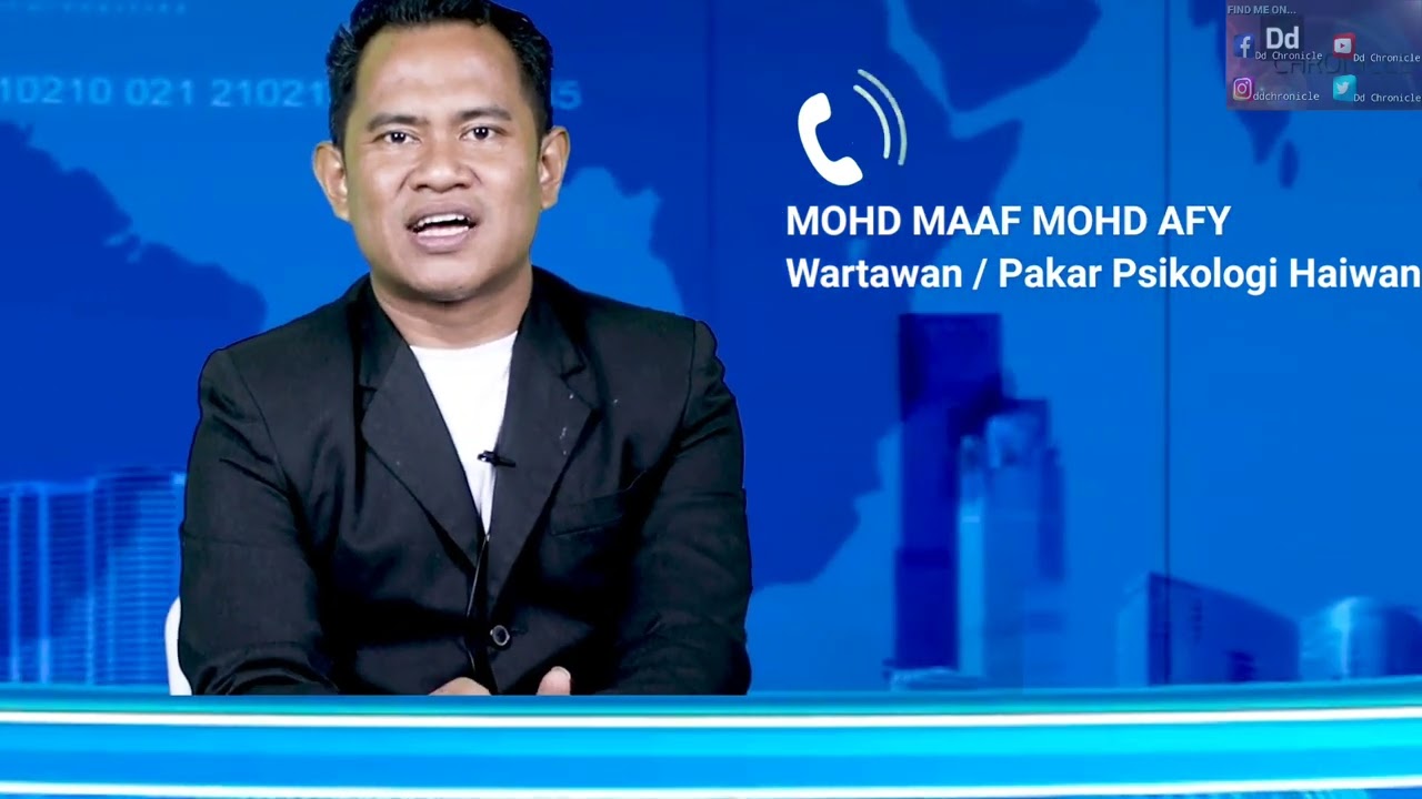 (PARODY) #147  DERITA BULETIN KETUJUH - Bukti Haiwan Tak Setuju Dan Tak Teruja Dengan Pembalakan