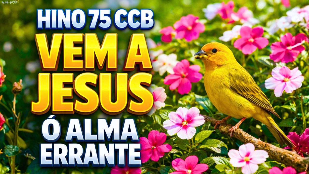 HINO 75 CCB - Vem a Jesus, ó alma errante - HINÁRIO 5 - Hino Cantado COM LETRA