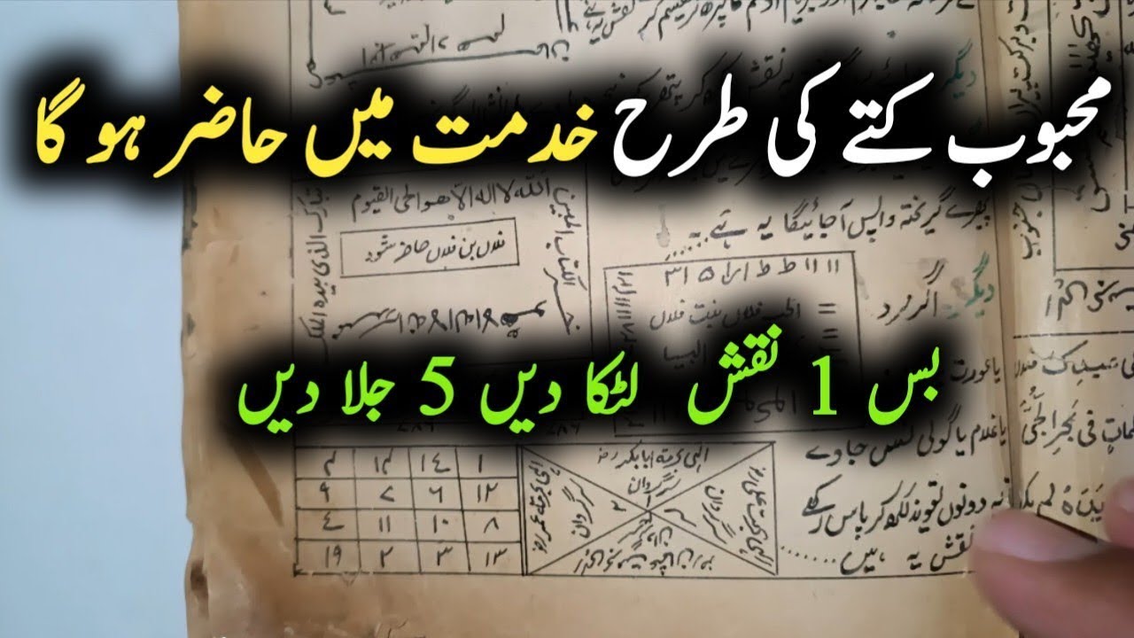 Mehboob Kuttay Ki tarha Khidmat Mein Hazir Ho Ga | 1 Naqsh Latka Dain 5 Jala Dain | Gilani Sahab