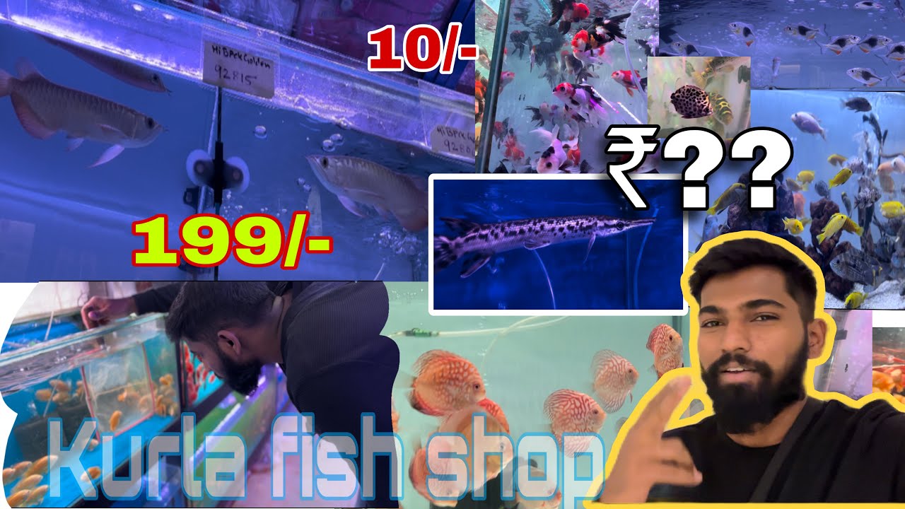 Aaj Kurla Fish Market Me Big Size Ke Monster Fish Dekhe 🐠 || Kurla fish Market, Mumbai 🦞🐟|| vlog#60