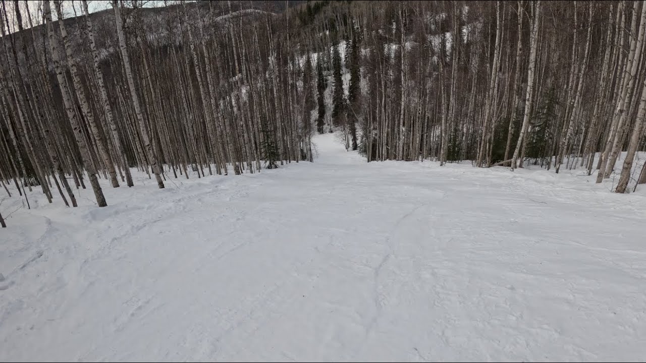 POV: Steepest Ski Run at Moose Mountain - Bear Trap ◆