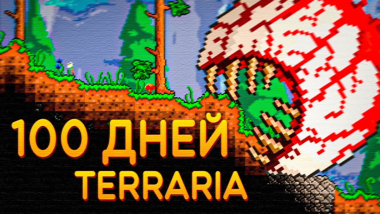 100 дней новичка в Terraria