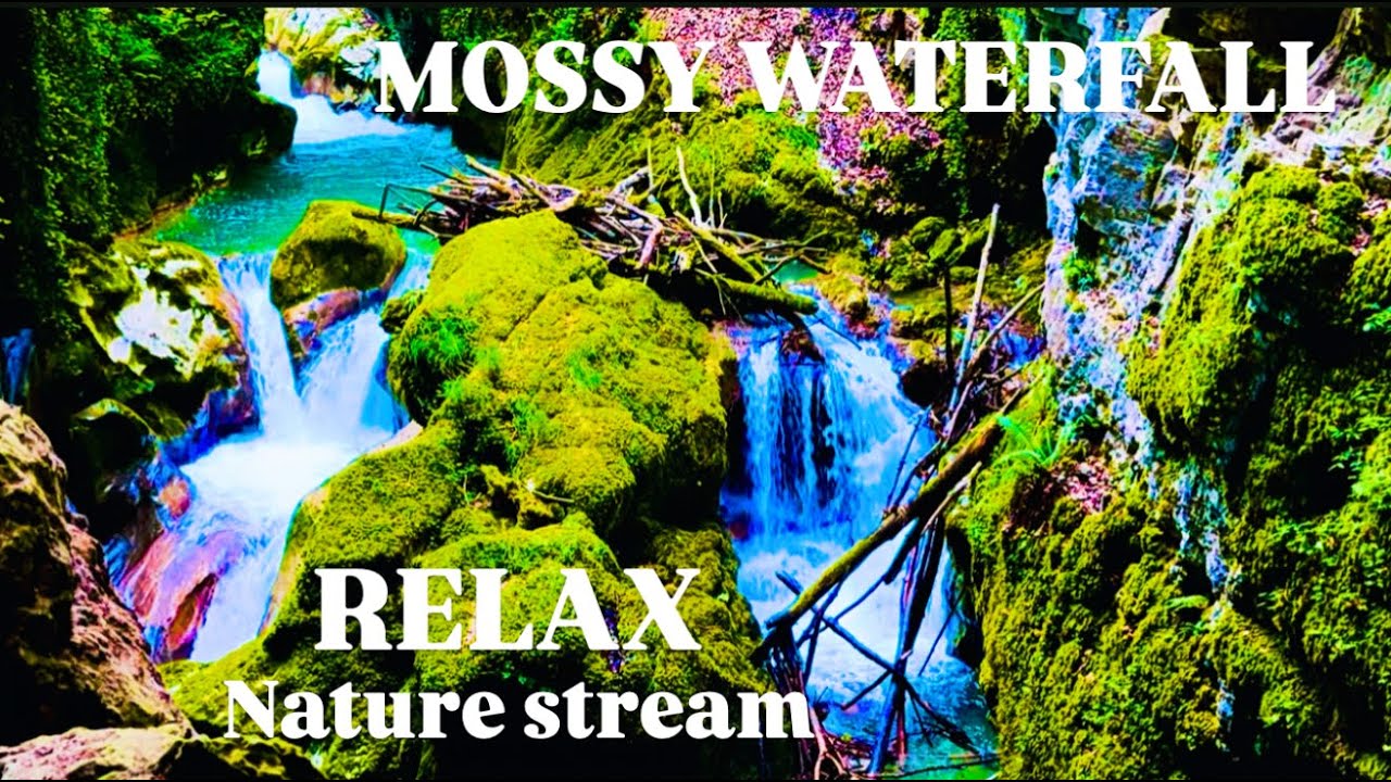 🔴LIVE Pure Nature Alpine Waterfall Sounds  |  Relaxing Ambience for Meditation and Calm I ASMR