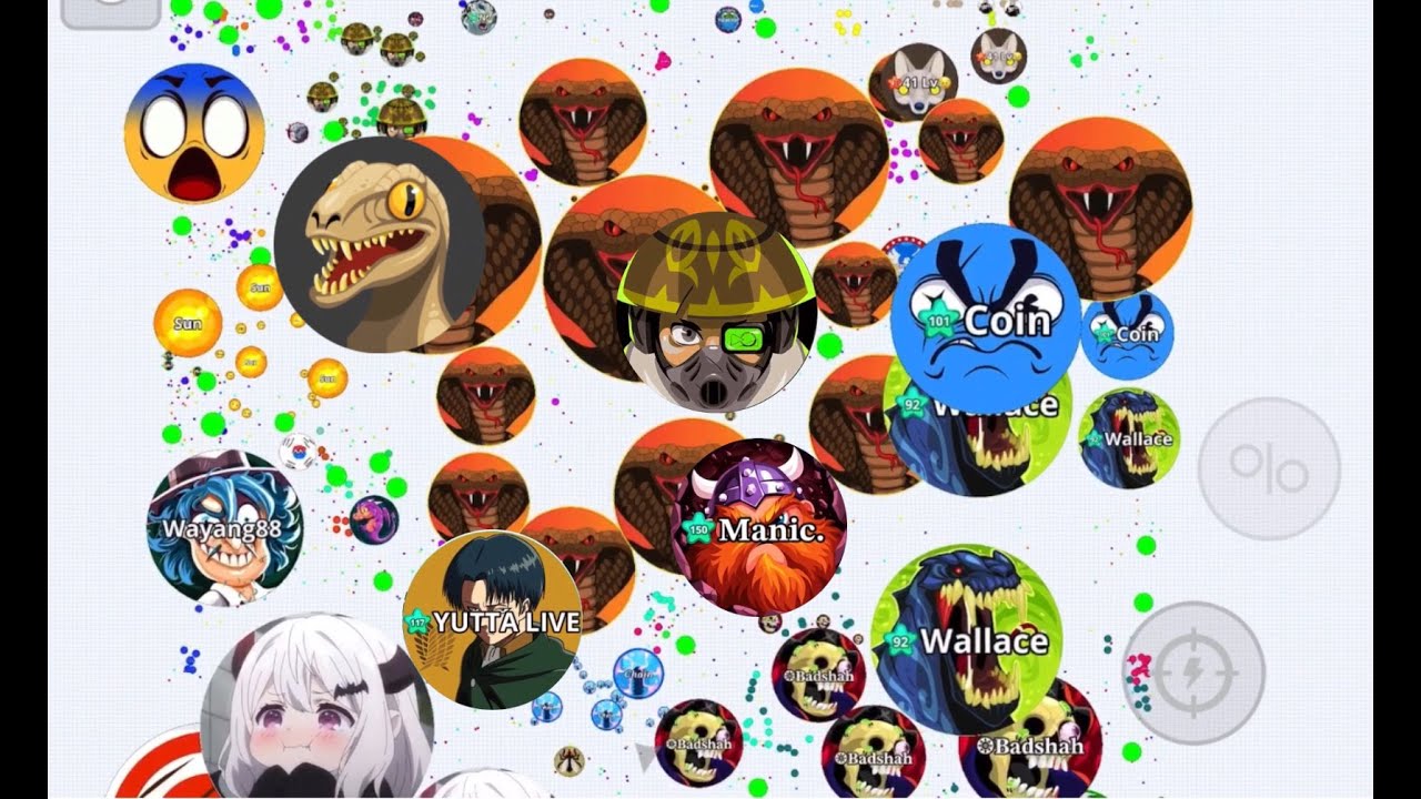 88,500 SOLO ON AGARIO MOBILE
