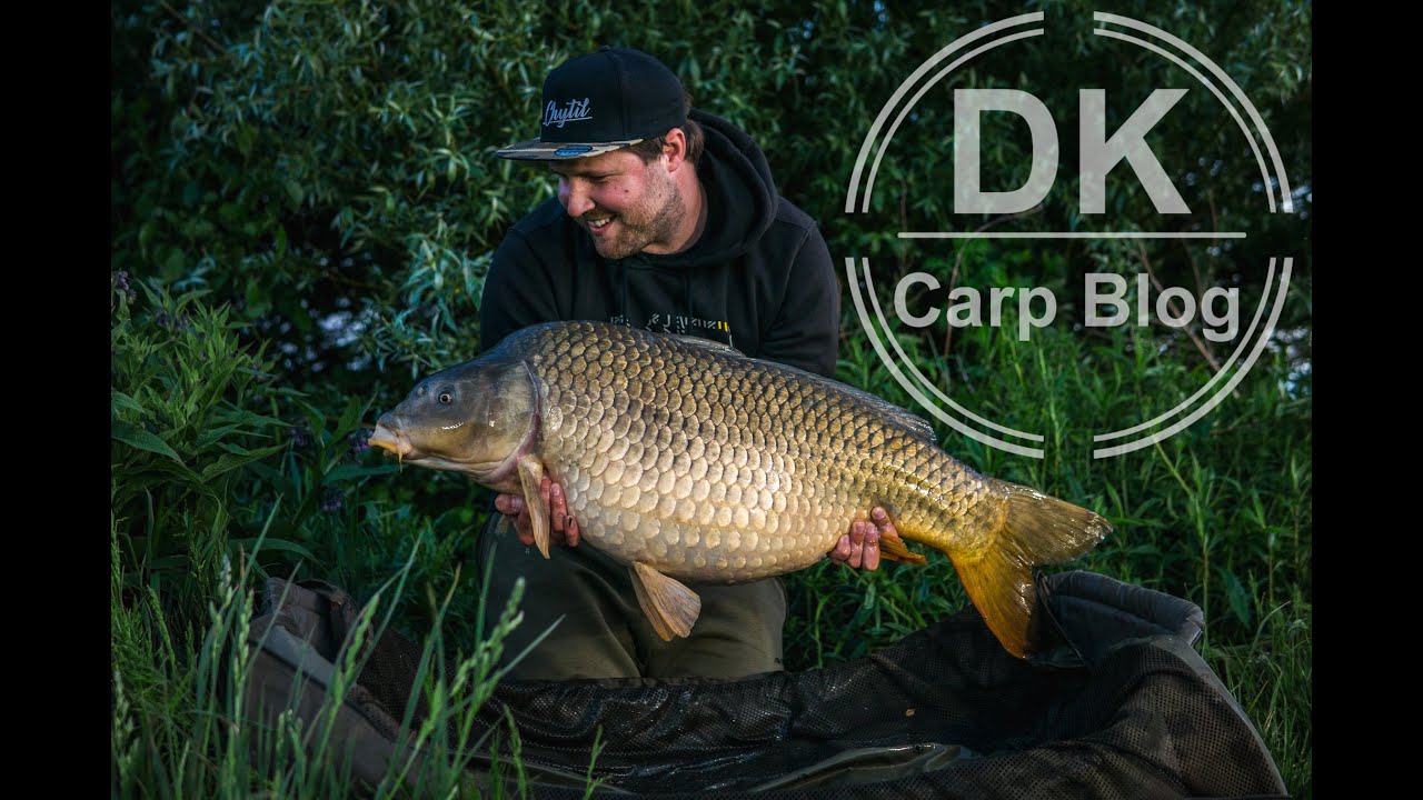 DK - CARP BLOG  - &Uacute;lovkov&yacute; 