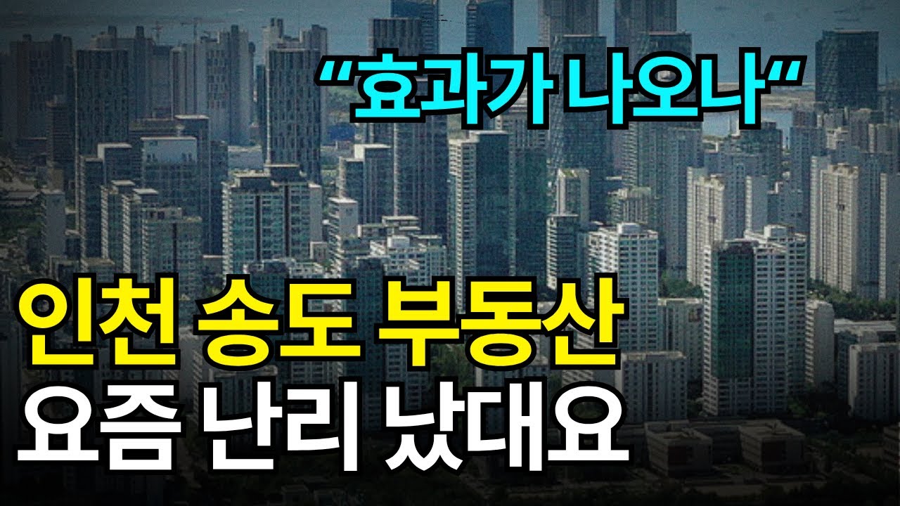 요즘 난리 났다는 인천 송도 부동산, 실제 분위기는?