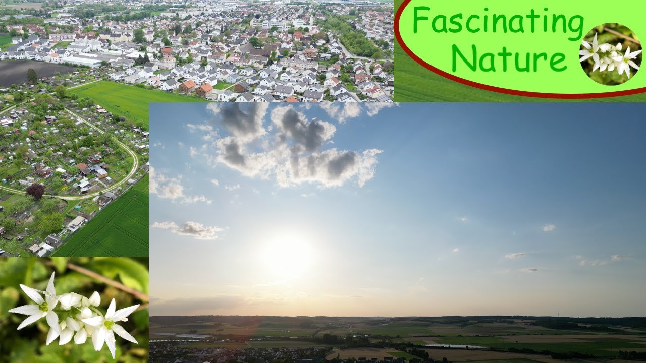 Ergolding bei Landshut im Sommer  - 4K