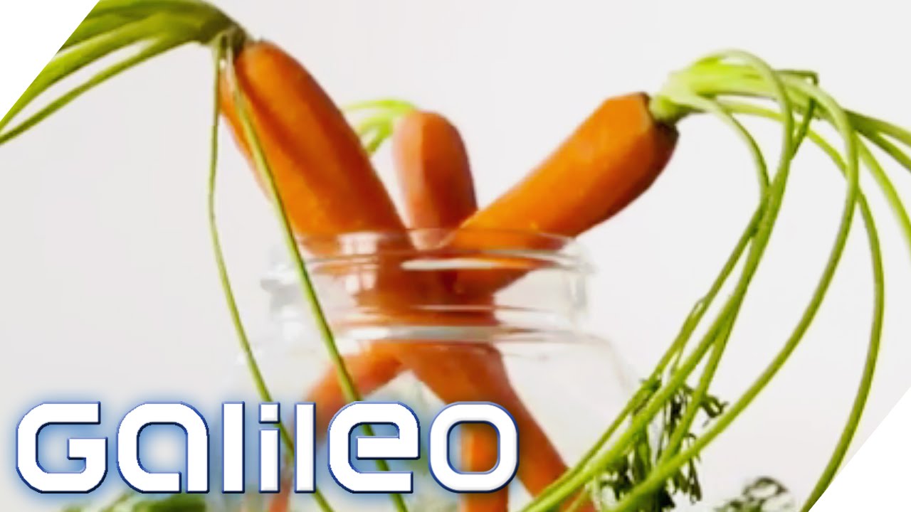 Clevere K&uuml;chentricks | Galileo | ProSieben
