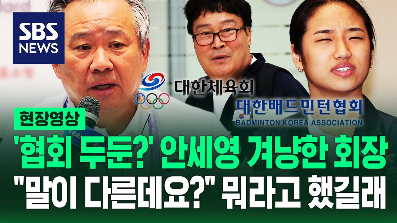 대한체육회장 