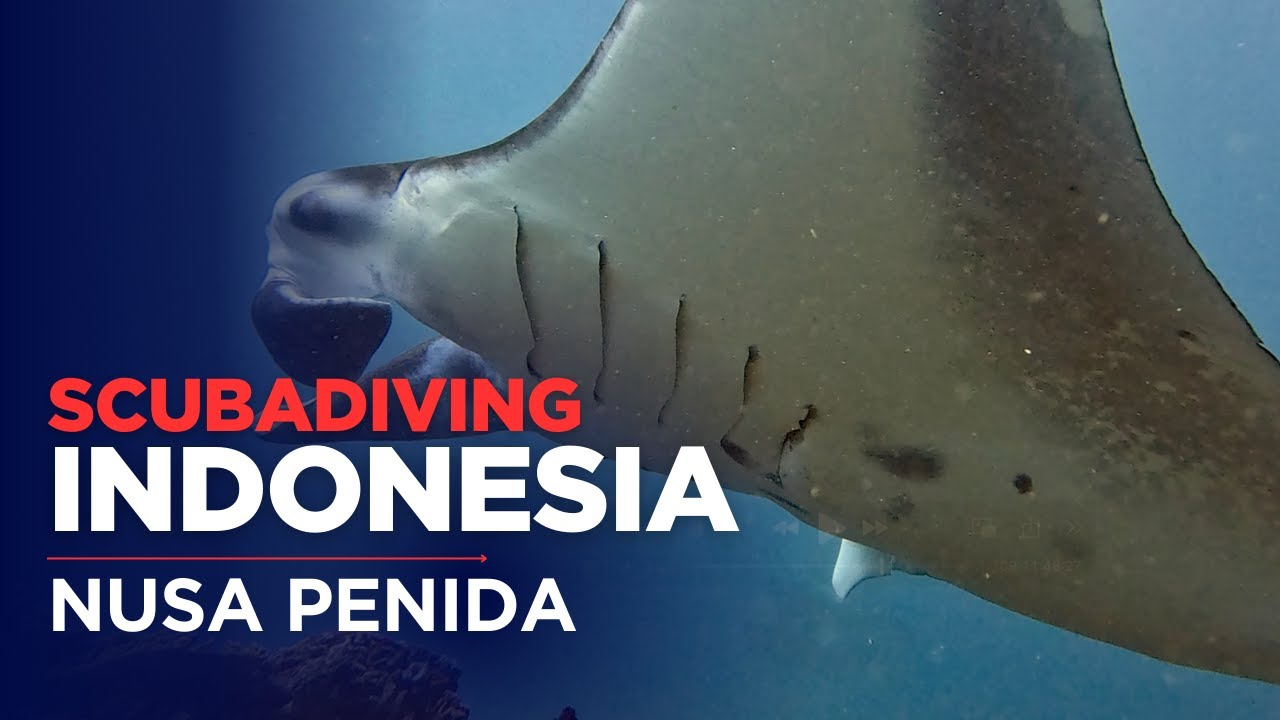 Scubadiving Indonesia 2025 - 03 - Nusa Penida