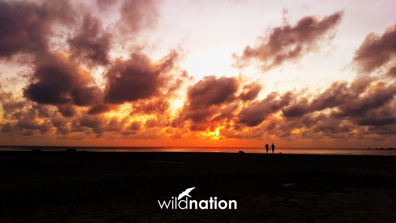 Mannar the cielo | Mannar island | Sri Lanka
