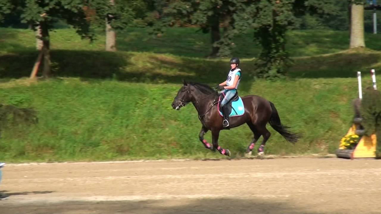 Madeleine  Fischer - Ronia 65 - Noriker A - Stadl Paura 2016