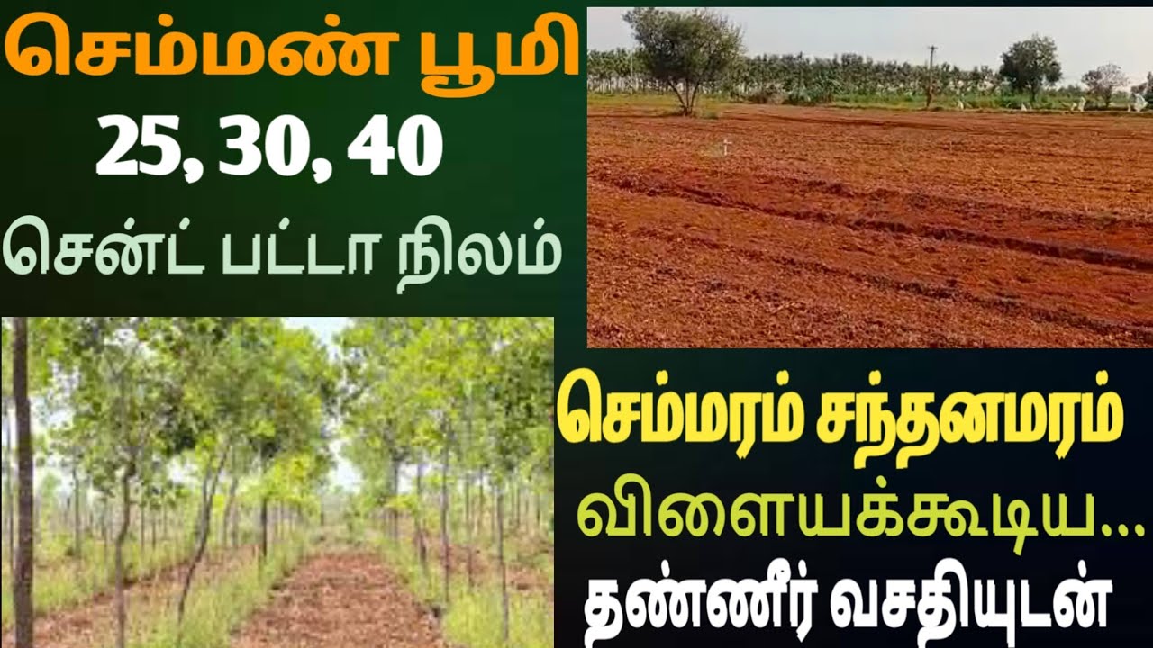 செம்மரம் சந்தன மரம் விளையக்கூடிய செம்மண் பூமி  20,30,40 சென்ட் மிக குறைந்த விலையில்