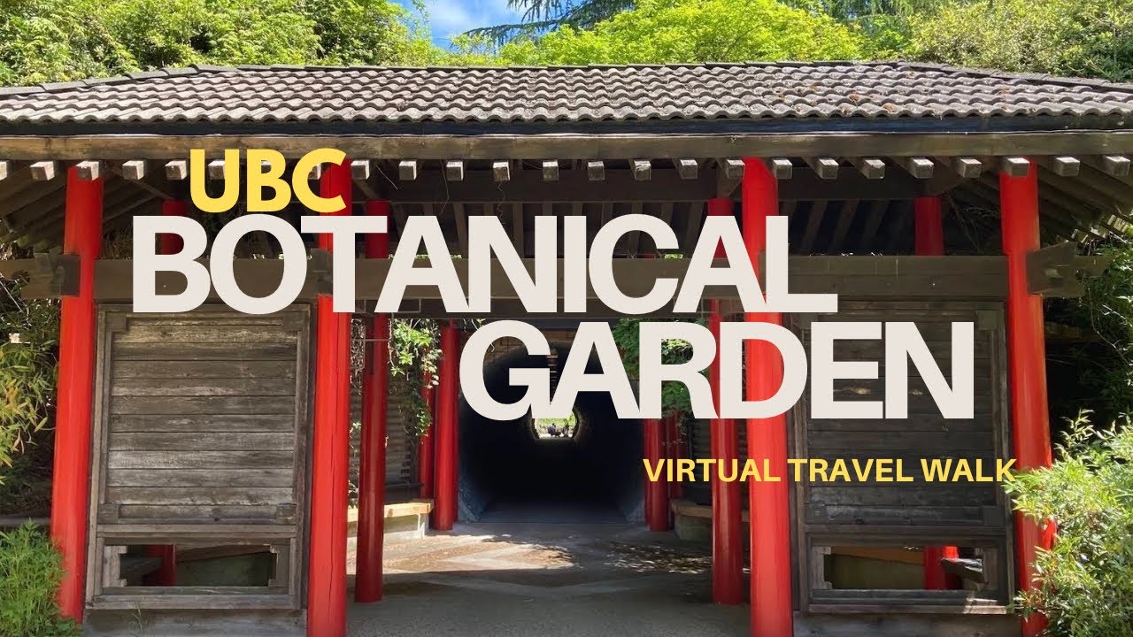 4K BOTANICAL GARDEN VIRTUAL WALKING | UBC GARDEN VANCOUVER B.C.