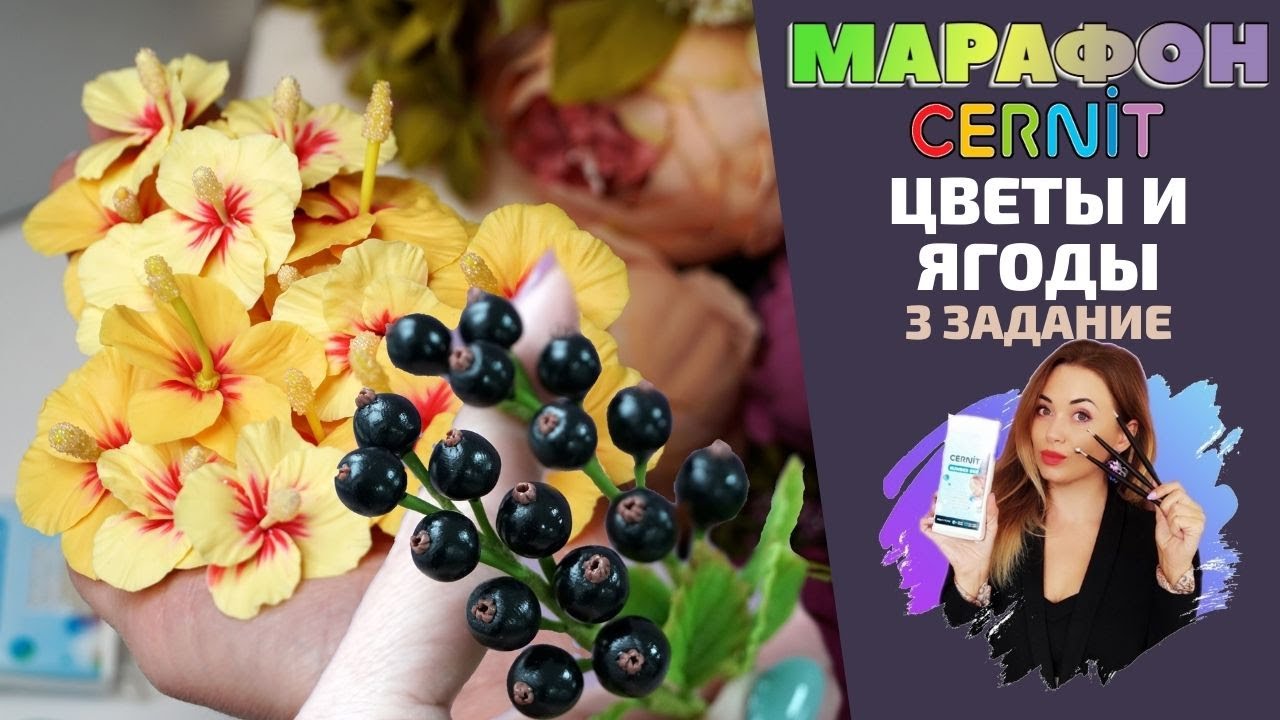 CERNIT Марафон. Третье задание | Цветы и ягоды
