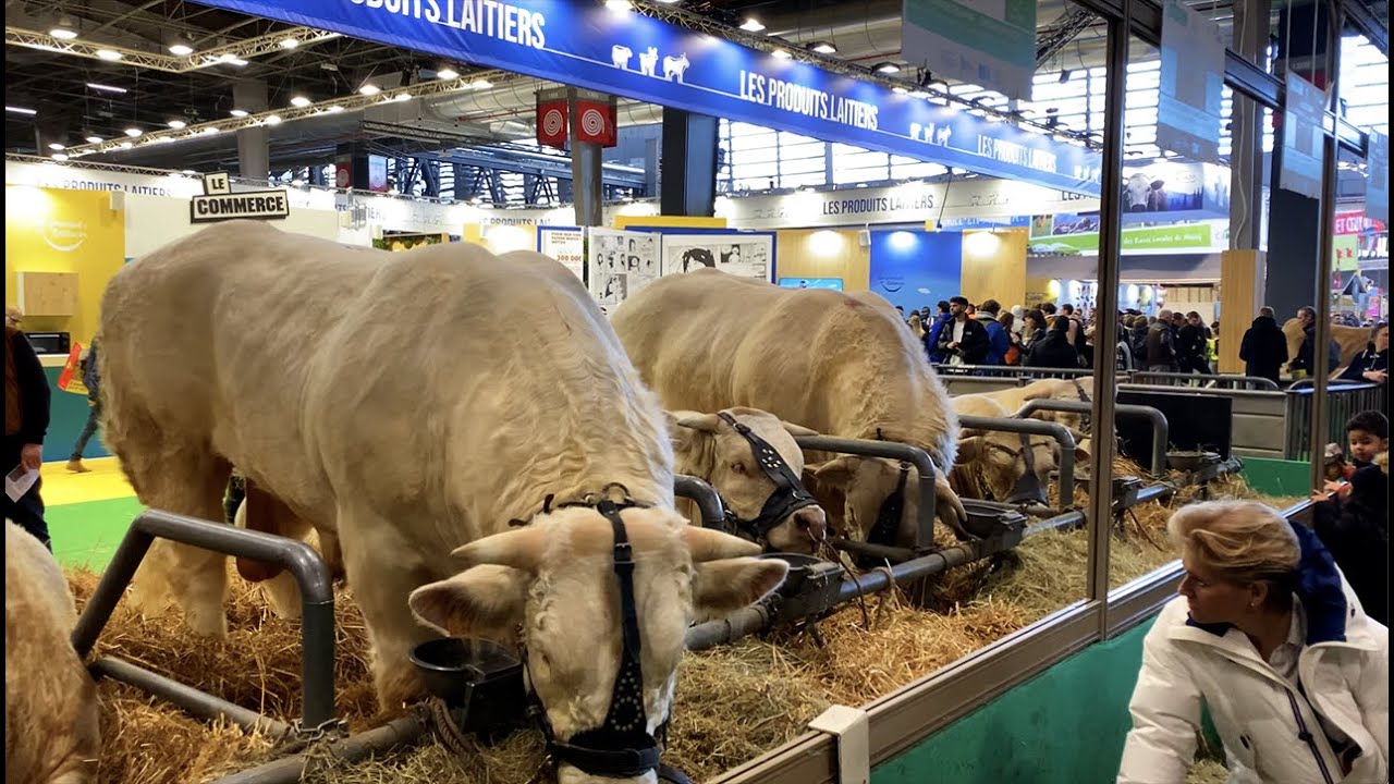 Walking in Paris &ndash; The International Agricultural Show Part 1 (4K, Stereo Sounds)