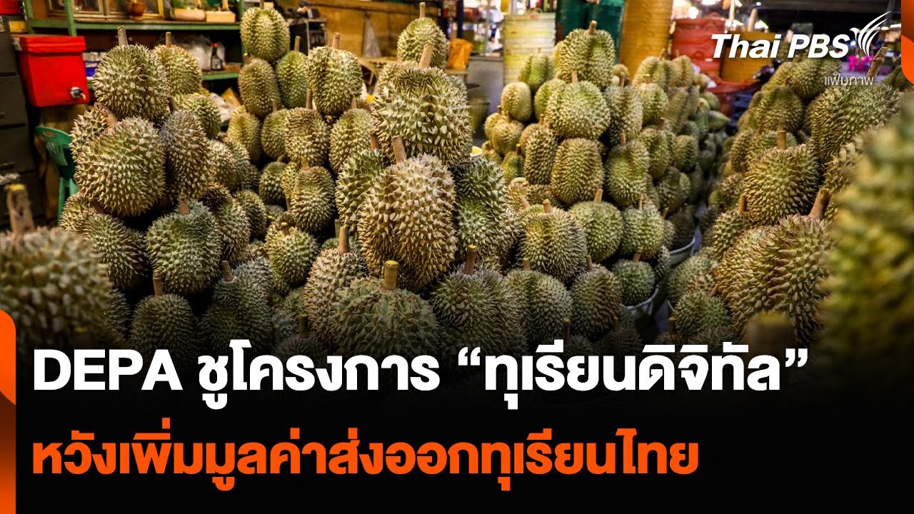 DEPA ชูโครงการ “ทุเรียนดิจิทัล” หวังเพิ่มมูลค่าส่งออกทุเรียนไทย | ข่าวค่ำ