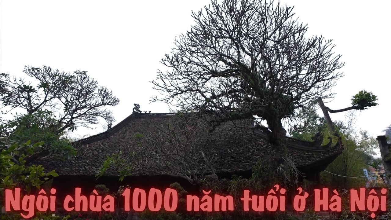 Khám phá ngôi chùa 1000 năm tuổi cổ nhất Hà Nội .