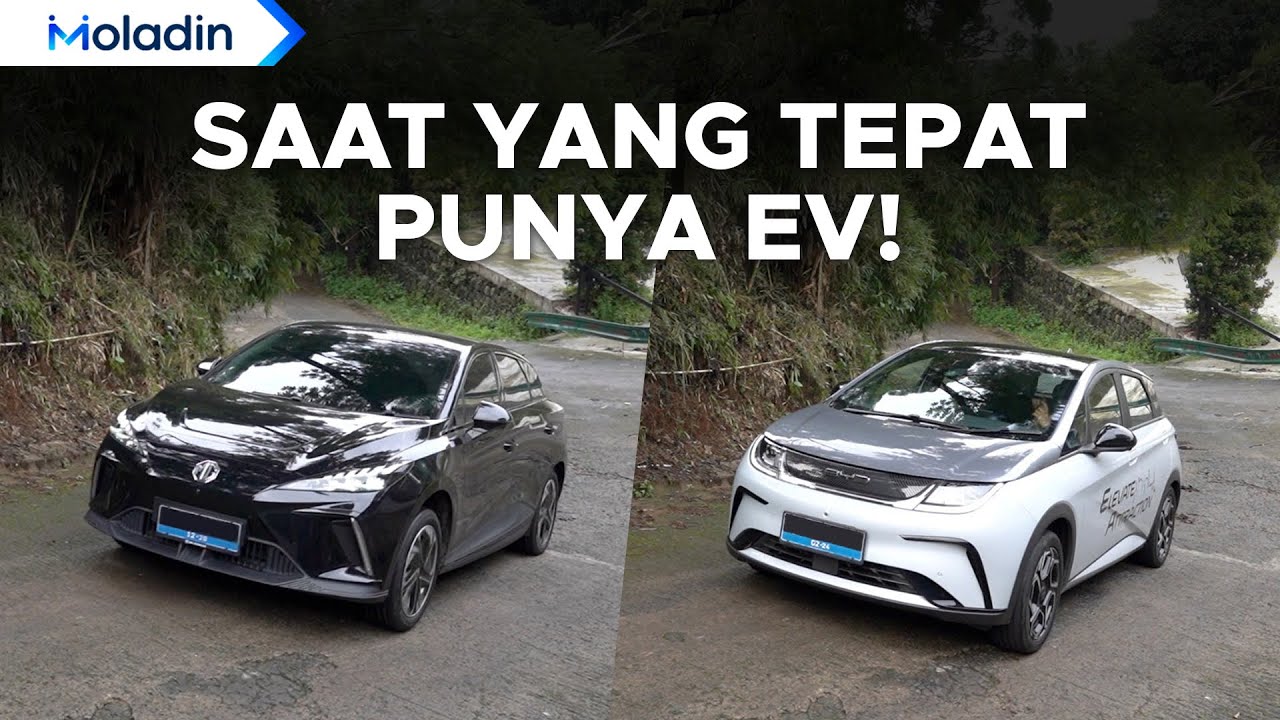 Perang Harga! Dua-duanya Sama-sama Cocok Untuk yang Mau Main Mobil Listrik! | Moladin