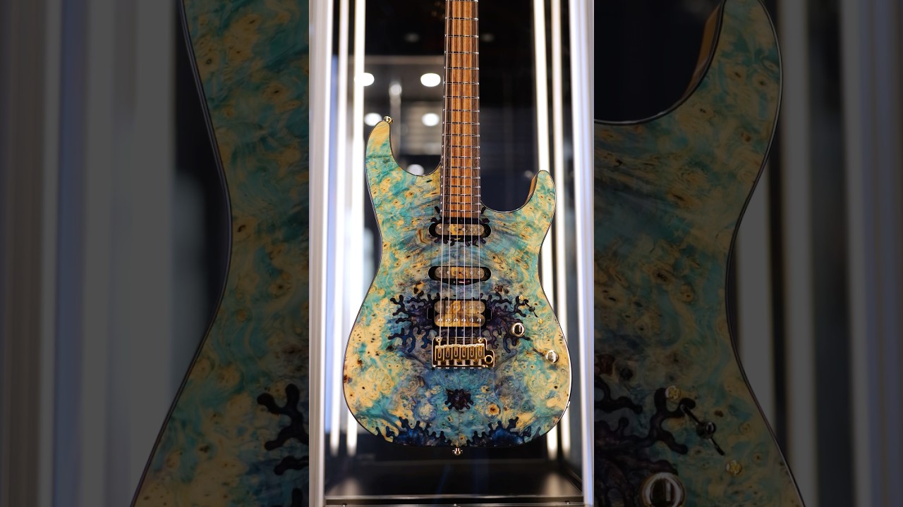 Schecter Custom Shop 🎸 #guitar #guitars #schecterguitars #schecter #guitarist #guitarplayer