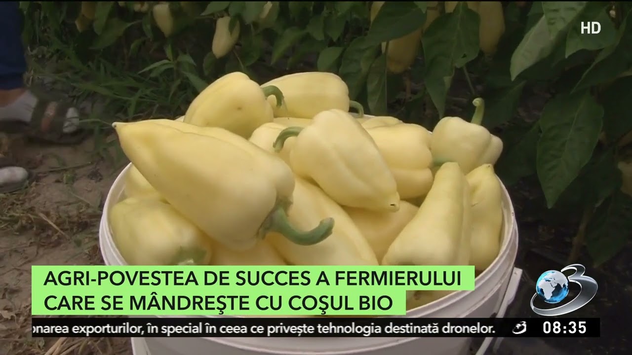 Secretul cu care un român îşi creşte afacerea cu produse bio. Preţurile, mult mai mici ca în magazin