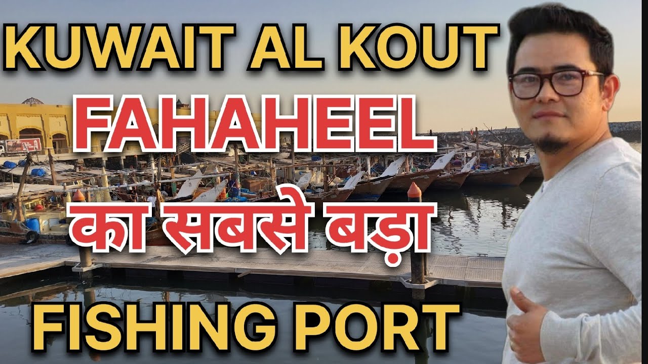 Fishing port in Kuwait Al kout|| Fahaheel का सबसे बड़ा Fishing Port || Fishing Market Wholsale||