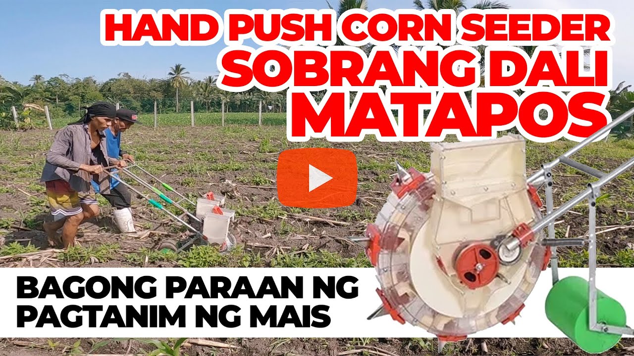 MAKABAGONG PARAAN NG PAGTANIM NG MAIS | CORN HAND PUSH SEEDER