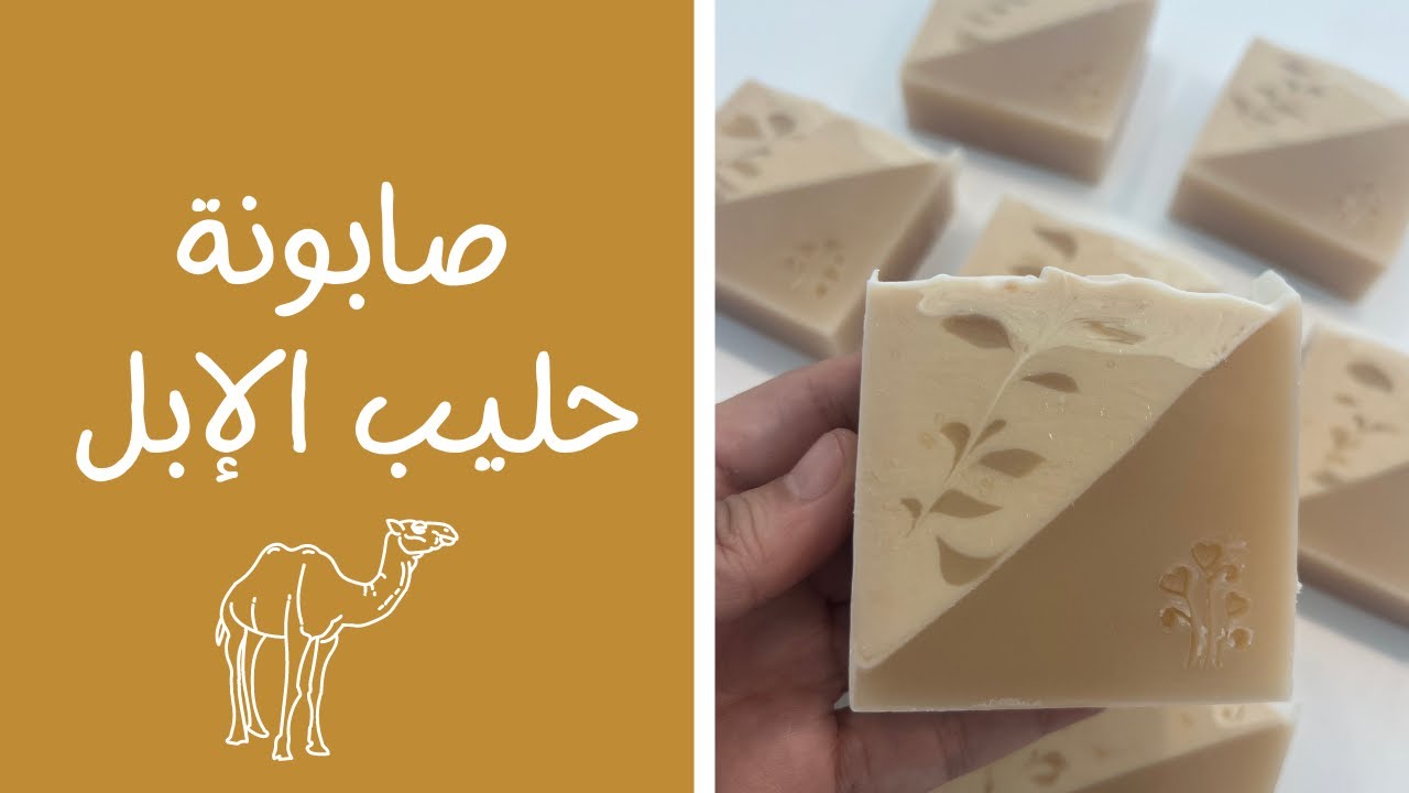 طريقة عمل صابونة حليب الإبل