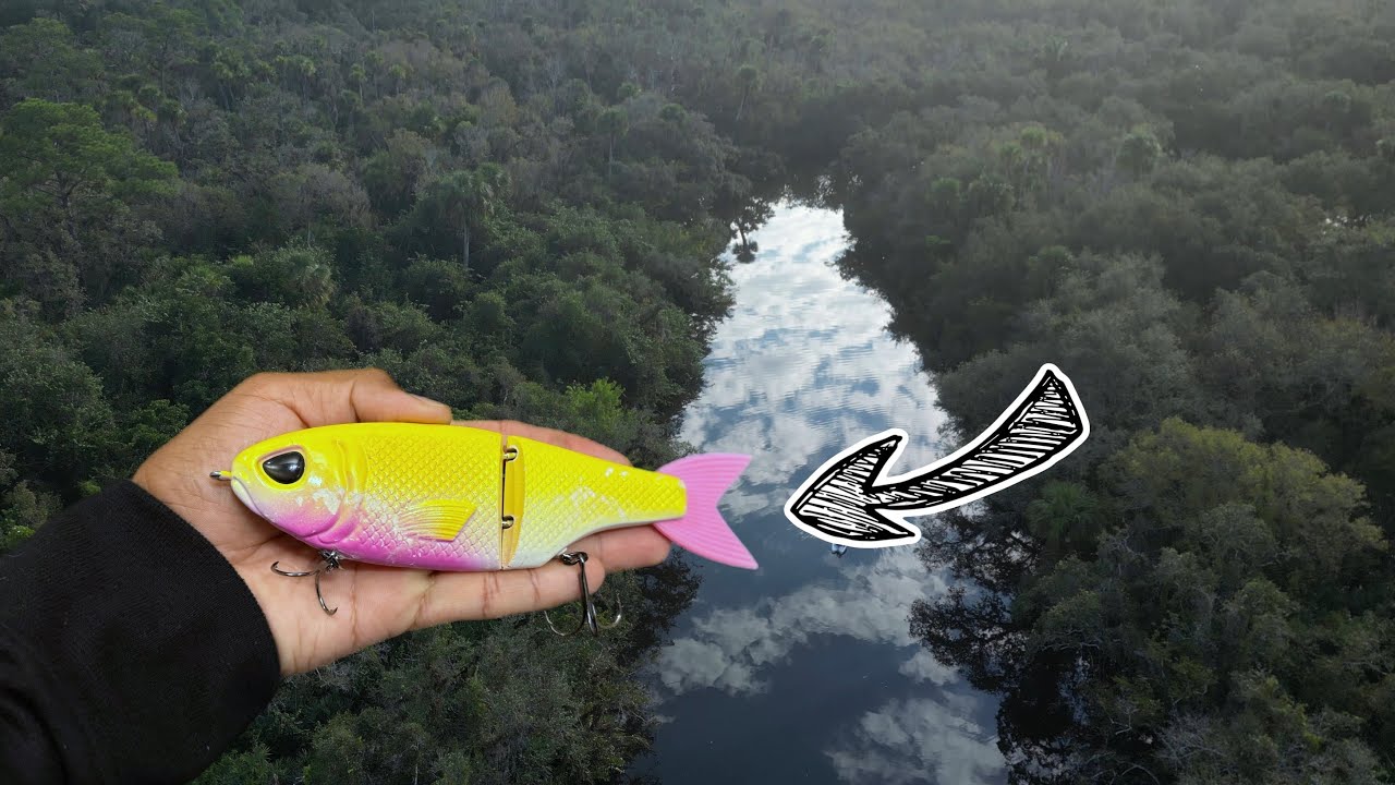 THROWING METRO GLIDE IN BACKWATER CREEK!