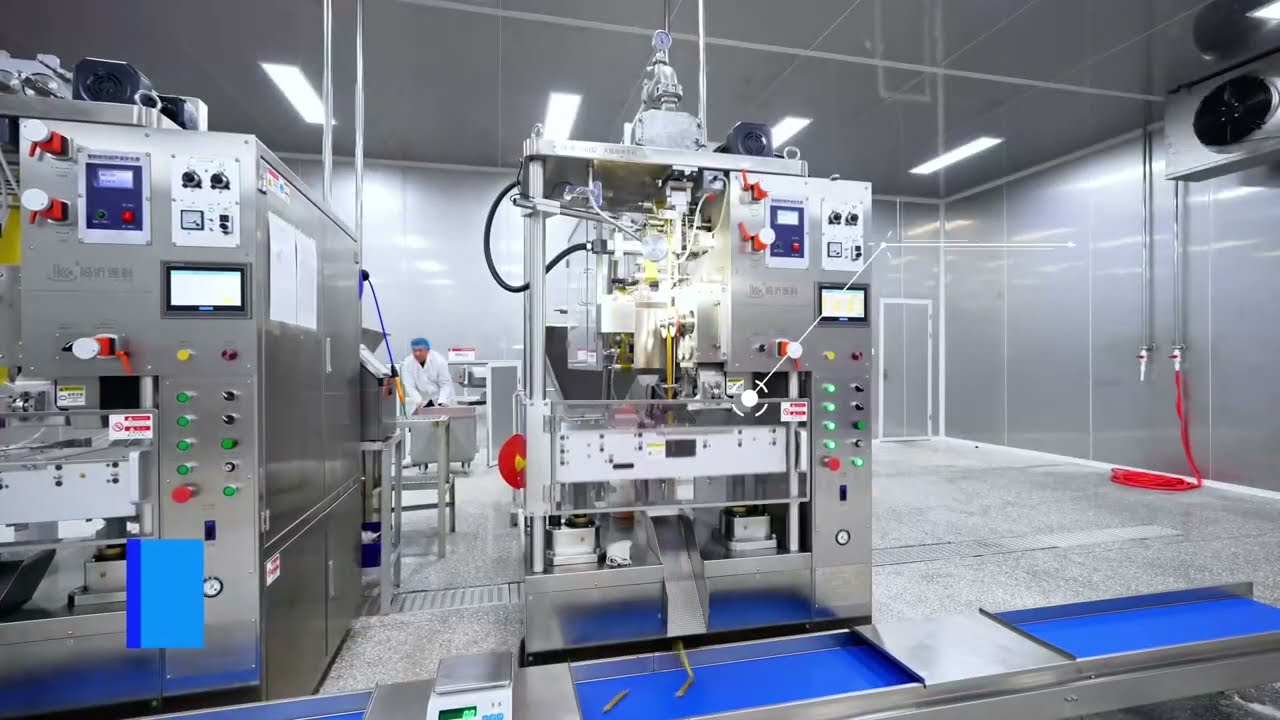China professional sausage processing line manufacturer