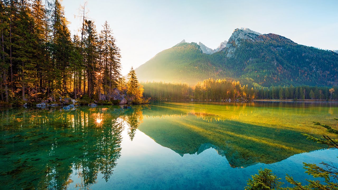 Relaxing Sleep Music 💖 Go to Sleep with Beautiful Piano Music